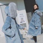 Áo chống mưa cho nữ dài phần 2019 mùa đông mới Hàn Quốc nhung vàng dày áo khoác lông thủy triều - Bông
