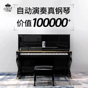West Court Music Carol I2 Piano Upright thông minh 88 phím dành cho người lớn tự động chơi đàn piano - dương cầm