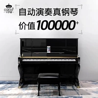 West Court Music Carol I2 Piano Upright thông minh 88 phím dành cho người lớn tự động chơi đàn piano - dương cầm yamaha clp 535