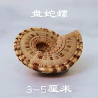 1 змея улитка 1