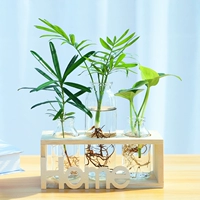 3 бутылки бревен [растения в подарочной фигуре]