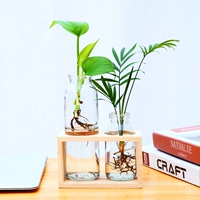 2 бутылки бревен [растения в подарочной фигуре]