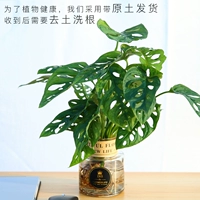 Пещера Таро