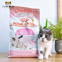 Royal Royal Cat Food Food Cake BC34 Vắt sữa Mèo Mẹ mang thai Mèo Thực phẩm 4Kg - Cat Staples bán buôn thức ăn phụ kiện chó mèo