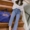 Mùa xuân và mùa thu mới retro quần ống rộng denim nữ phiên bản cao của Hàn Quốc eo cao là học sinh mỏng bf gió thẳng quần jean