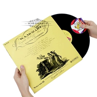 Vinyl Record LP, выбирающий диск, зажимные и чистящие защитные прокладки без отпечатков пальцев