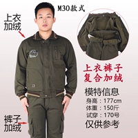 Армейский Зеленый