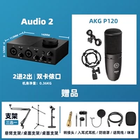 Audio2+P120 Полный набор подарков