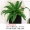 Mô phỏng cây dương xỉ xanh tường trang trí đám cưới hoa và cây giả lá cỏ Ba Tư lá giả lá xanh lớn - Hoa nhân tạo / Cây / Trái cây