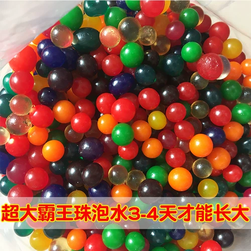 Вода -поглощение жемчужного гидропонного растительного питания