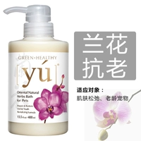 Орхидея замороженного возраста рецепт