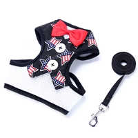 Пять -звездный шаблон