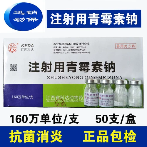 Ветеринарные препараты и звери с инъекцией 1,6 миллиона единиц пенициллиновой натриевой свинины, крупного рогатого скота, овец, курицы, собаки, кошки, антибактериальных и анти -инфляционных препаратов