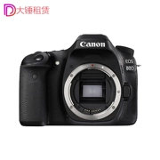 Cho thuê máy ảnh DSLR Canon 60D 70D 80d 77D 650D 7D2 cho thuê máy ảnh cho thuê miễn phí - SLR kỹ thuật số chuyên nghiệp
