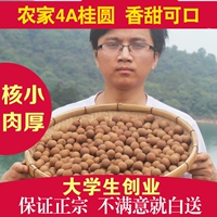 Мясо толстый ядерный малый фуиан Putian Authentic Longan Dry 250g Guangxi Longan Meat Jerky College начинает бизнес