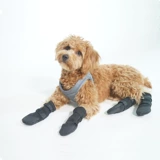 Собачья инвалидная коляска специальная крышка для ног плюшевая собака против проникновения анти -глупого питомника набор носков анти -грип -большой собака