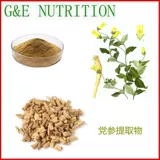 100 г чистого натурального кодонопсиса Экстракт 10: 1 Концентрированные растения.