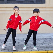 Đồng phục học sinh phù hợp với gió đại học quần áo trẻ em tiểu học và trung học cơ sở quần áo 2019 - Đồng phục trường học / tùy chỉnh thực hiện