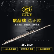 Nhạc cụ sáo Zhengou ZFL-3800 dành cho trẻ em đặc biệt C màu trắng mạ bạc cao cấp - Nhạc cụ phương Tây