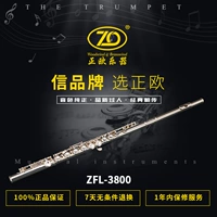 Nhạc cụ sáo Zhengou ZFL-3800 dành cho trẻ em đặc biệt C màu trắng mạ bạc cao cấp - Nhạc cụ phương Tây violon