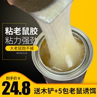 Возьмите с собой ловкие мухи, жвачка, сильная бумага из мыши для мыши, мухи, мухи, большие артефакты дома с большими мотыми