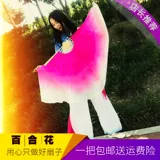 Фан -фанат Square Dance Yangge Fan для взрослых расширенных двойных детский выступление фанат градиент цвето