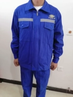 Ярко-синий цвет (утолщенная версия из чистого хлопка с вышивкой на груди)