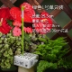 Huaxin sustee máy đo độ ẩm đất đo độ ẩm nồi máy dò độ ẩm đất phong lan thiếu nước nhắc nhở tưới nước máy kiểm tra độ ẩm
