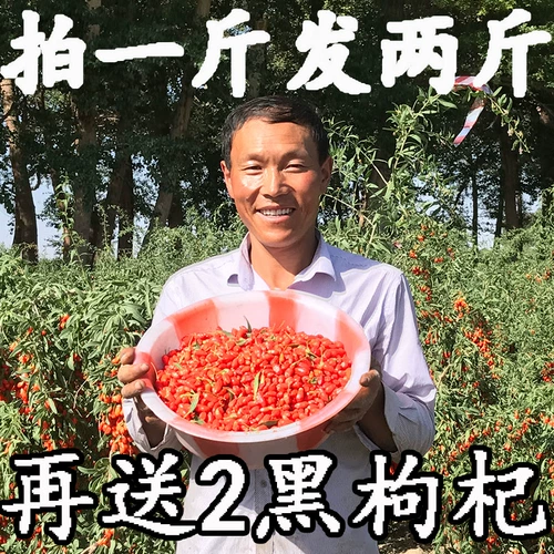 Отправить 2 фунта Zhongning Wolfberry Ningxia Подлинная красная структура Qiji Special Gou 500G Pure Natural Wholesale