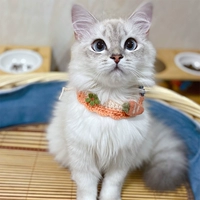 Шерсть для домашних кошек шерсть ручной шерсть, окружающая маленькая рыба шея голубая кошачья ткань