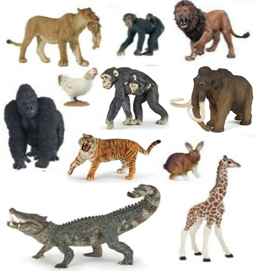 Bulk P PO mô phỏng mô hình động vật hoang dã  sư tử hổ đười ươi cá sấu voi ma mút nhận thức con - Đồ chơi gia đình