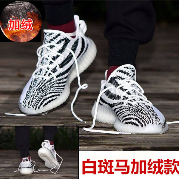 Winter plus down white zebra