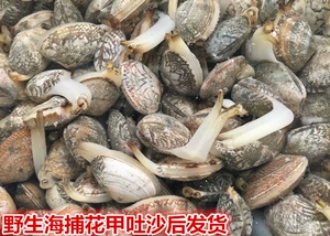 Специализированные свежее морепродукты, заваленные из лианюнгунга водные море, камеры, моллюски, моллюски, цветочные доспехи, 8 юаней 500 грамм