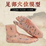 Акупунтная модель Meridian Meridian Model Foot, массаж купания, иглоукалывание, иглоукалывание модели стопы