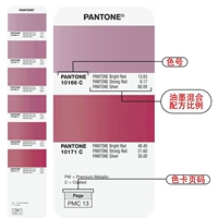 Pantone Panjie Color Card International Color Card Partial Color Card-New Version 10-Charcter Metal Color Card