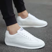 Giày mới nữ giày đáy mềm thể thao màu trắng thể dục nhịp điệu giày cổ vũ đào tạo của nam giới giày thể dục dụng cụ khiêu vũ dành cho người lớn vuông