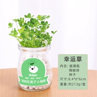 Бутылка, маленький горшок