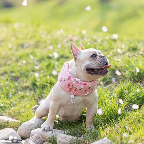 Летний охлаждающий шарф для выхода на улицу, сумка для льда