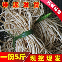 Houttuynia cordata Fresh Sichuan складывающиеся ушные корни холодные и дикие, что специальные нежные бутоны и продукты Guizhou -это пряные 5 фунтов бесплатной доставки