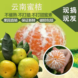 早熟云南橘子现摘现发水果孕妇酸甜蜜橘5斤