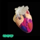 Сердце (специальное предложение)