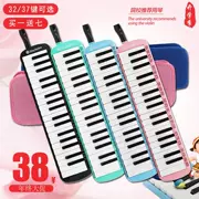 Accordion Children 37 Phím Người mới bắt đầu Học sinh Dạy thổi cho người lớn Người mới bắt đầu tự học Chơi nhạc cụ thổi - Nhạc cụ phương Tây