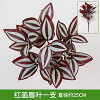 Трава бровей с пурпурной