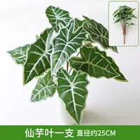 Peacock Blue Fairy Taro Leaf