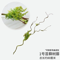 № 1 моделирование моховой виноградной лозы