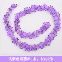 1 Свето -фиолетовая глицерия струна 1