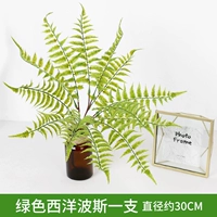 Зеленый западный персидский