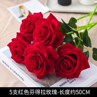 5 красных роз Фендера