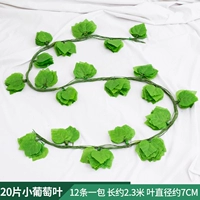 20 листовых маленьких виноградных листьев 1 упаковка [12 штук]