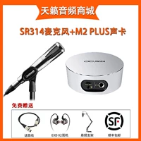 SR314+M2-плюс звуковая карта